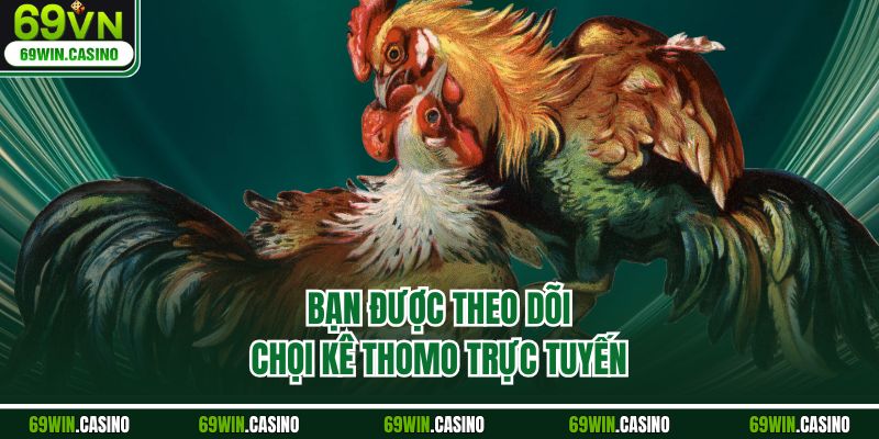 Bạn được theo dõi chọi kê Thomo trực tuyến