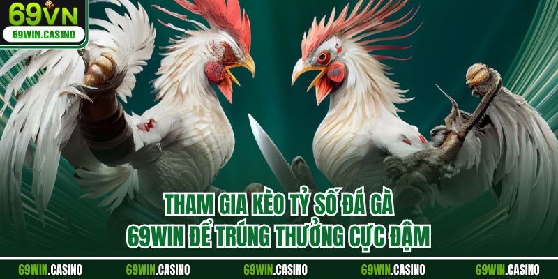 Tham gia kèo tỷ số đá gà 69WIN để trúng thưởng cực đậm